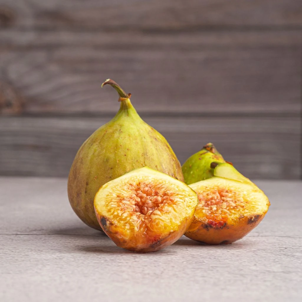 Figuier Gustis Ficcolino - Ficus Carica 1 Figuier Gustis Ficcolino - Ficus Carica